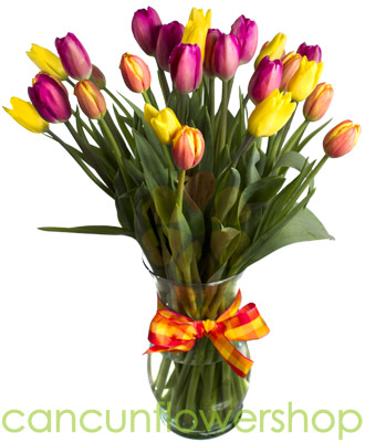 assorted color tulips