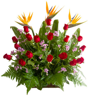 birds of paradise flowers and roses in a wooden box