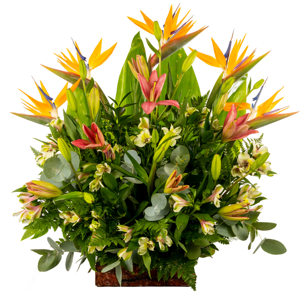 Birds of paradise flowers and lilies in a wooden box