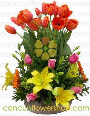 Tulips and mixed flowers in a wooden box