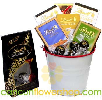 Gourmet chocolates in a bucket