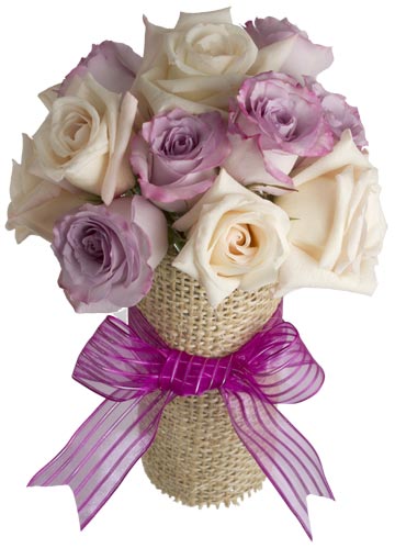 12 Color roses in wrapped cylinder