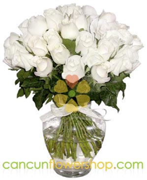 48 white roses in glass vase