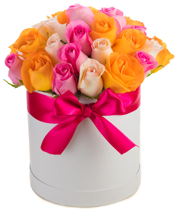colorful roses in tall round white box