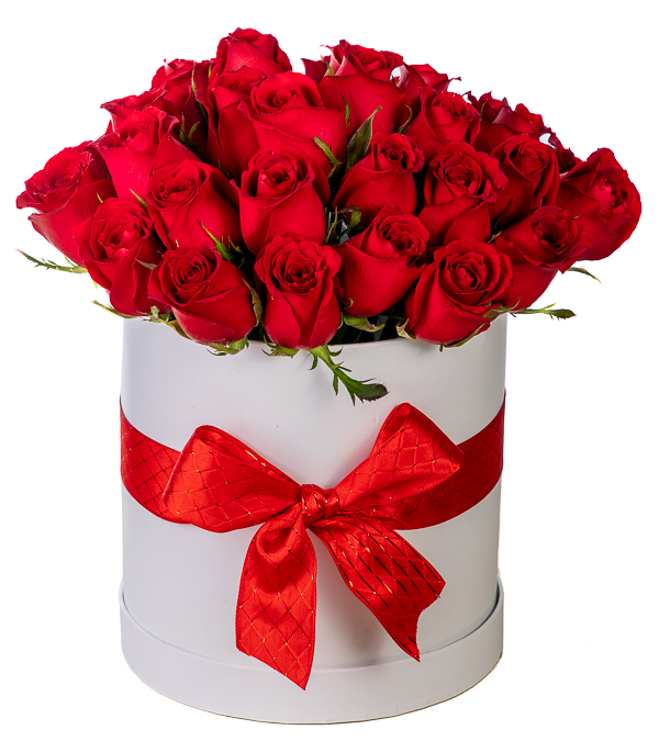 Arrangement with approximately 30 red roses in white round box